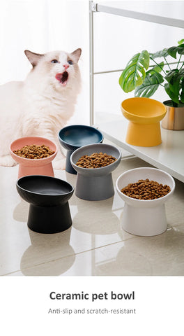 Nordic Style Elevated Ceramic Pet Bowl