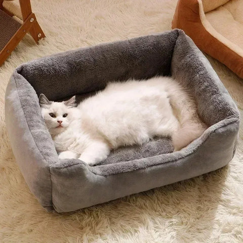 Cotton Cat Bed