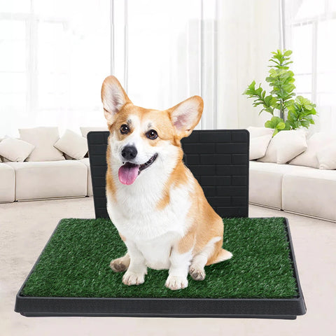 Artificial Grass Dog Pee Pad with Large Tray - Reusable