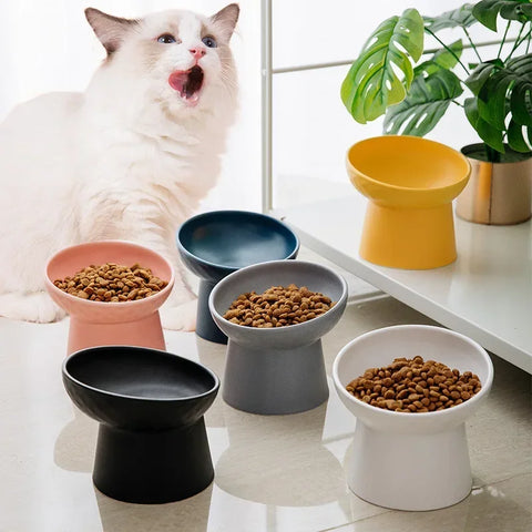 Nordic Style Elevated Ceramic Pet Bowl