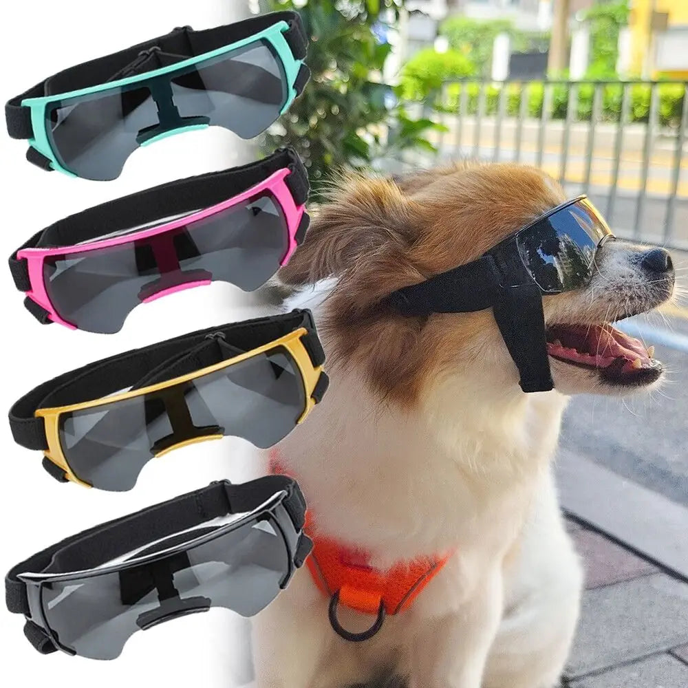 Big dog sunglasses shop