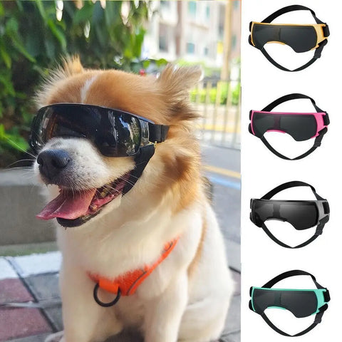 Dog Sunglasses with Adjustable Strap